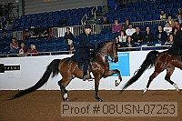 08usn-07253 proof