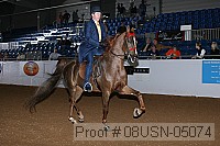 08usn-05074 proof