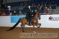 08usn-05077 proof