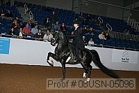 08usn-05096 proof