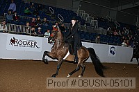 08usn-05101 proof