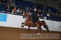 08usn-05104 proof