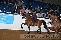 08usn-05105 proof
