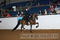 08usn-05110 proof