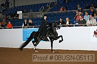 08usn-05113 proof