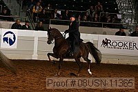 08usn-11365 proof