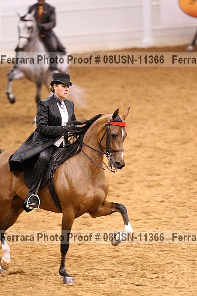 Proof 08usn-11366