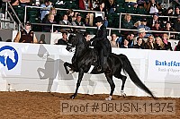 08usn-11375 proof