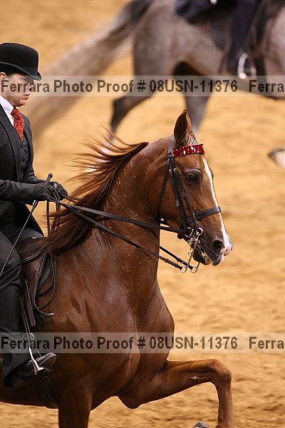 Proof 08usn-11376