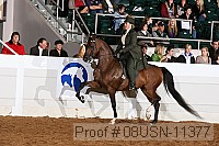08usn-11377 proof