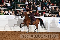 08usn-11381 proof
