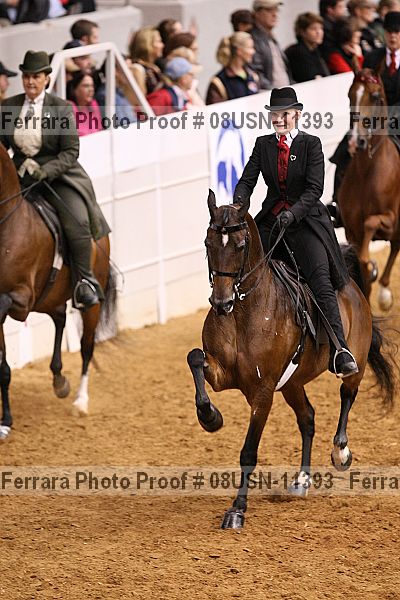 Proof 08usn-11393