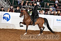 08usn-11395 proof