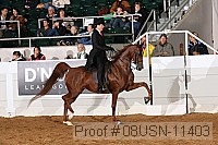 08usn-11403 proof