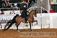 08usn-11406 proof