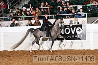 08usn-11409 proof