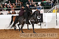 08usn-11411 proof