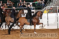 08usn-11415 proof