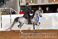 08usn-11418 proof