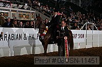 08usn-11451 proof
