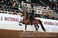 08usn-11498 proof