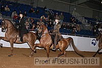 08usn-10181 proof