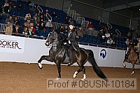 08usn-10184 proof