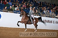 08usn-10200 proof