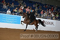 08usn-05909 proof