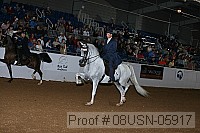 08usn-05917 proof