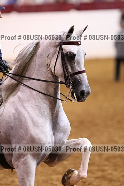 Proof 08usn-05930