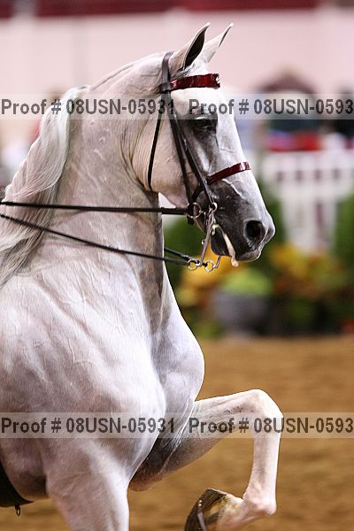 Proof 08usn-05931