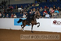 08usn-05936 proof