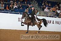 08usn-05954 proof
