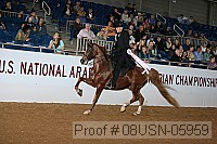 08usn-05959 proof