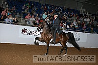 08usn-05965 proof