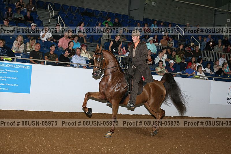 Proof 08usn-05975
