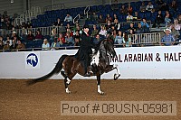 08usn-05981 proof