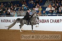 08usn-05985 proof
