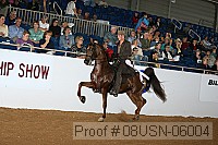 08usn-06004 proof