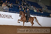08usn-01242 proof
