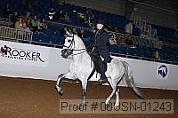08usn-01243 proof