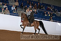 08usn-01246 proof