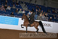 08usn-01253 proof