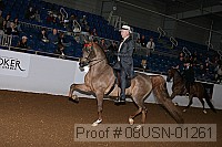 08usn-01261 proof