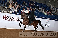 08usn-01288 proof