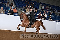08usn-01290 proof