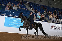 08usn-01293 proof