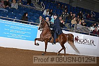08usn-01294 proof