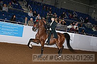08usn-01295 proof